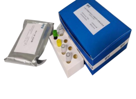 HLA-AB 分型试剂（荧光探针qPCR法）
